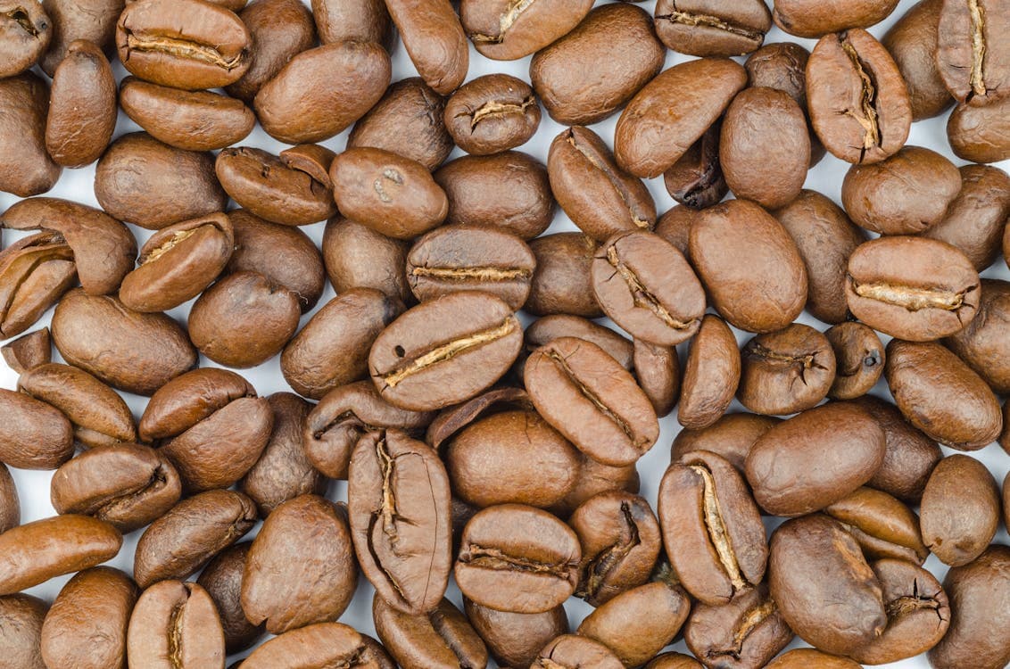 Fresh roasted coffee beans